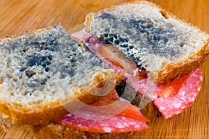 Moldy sandwich with salami, tomatoes on a chopping board