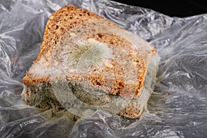 Moldy sandwich with smoked meat in a plastic bag. Dark bread with grains covered with white mold
