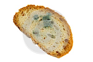 Moldy slice of bread on a white background