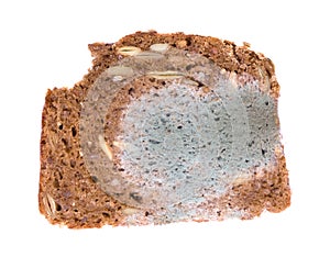 Moldy slice of bread on white background