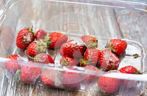Moldy strawberries in the box. Rotten berries in summer. Bad conditions of preservation