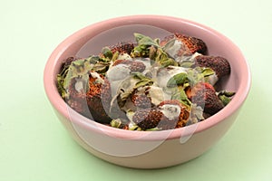 Moldy strawberries in pink dish