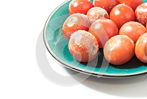 Moldy tomatoes on a plate closeup