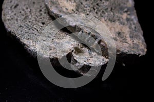 Moldy white bread on a black background.