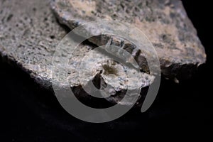 Moldy white bread on a black background.