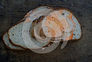 Moldy wholemeal bread