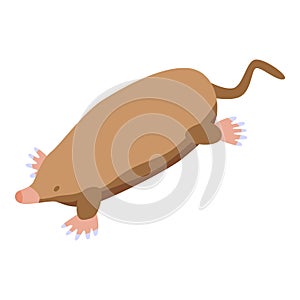 Mole animal icon isometric vector. Cute ground