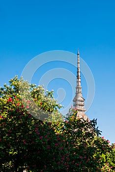 Mole Antonelliana tower