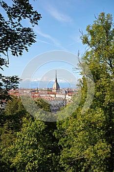 Mole Antonelliana tower and Turin city framed by trees in a sunny day in Italy