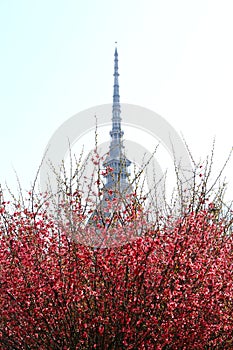 Mole Antonelliana, Turin, Italy