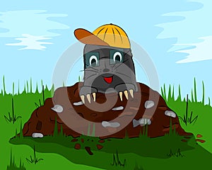 Mole with a cap on molehill