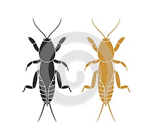 Mole cricket logo. Isolated mole cricket on white background