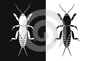 Mole cricket logo. Isolated mole cricket on white background