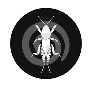 Mole cricket logo. Isolated mole cricket on white background