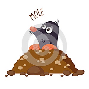 Mole illustration