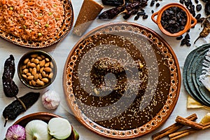 Mole Mexicano, Poblano mole ingredients, mexican spicy food traditional in Mexico