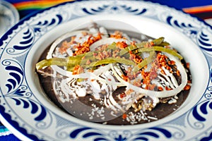 Mole Mexicano, Poblano mole ingredients, mexican spicy food traditional in Mexico