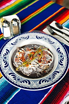 Mole Mexicano, Poblano mole ingredients, mexican spicy food traditional in Mexico