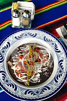 Mole Mexicano, Poblano mole ingredients, mexican spicy food traditional in Mexico photo