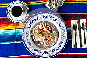 Mole Mexicano, Poblano mole ingredients, mexican spicy food traditional in Mexico photo