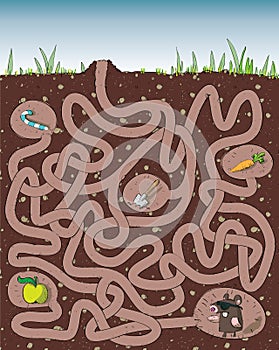 Mole and Molehill Maze Game