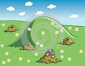 Mole and Molehills on Green Landscape with Flowers