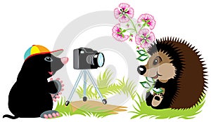 Mole photographer