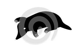 Mole silhouette icon. Clipart image