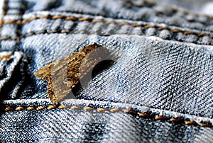 The mole is sitting on jeans clothes