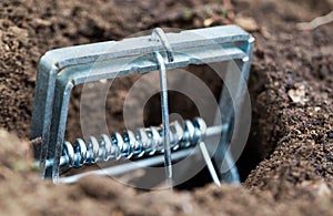 Mole trap is a trap for catching a mole in a hole in the ground. Harm from a mole in a garden plot, close-up