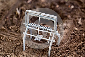 Mole trap is a trap for catching a mole in a hole in the ground. Harm from a mole in a garden plot, close-up