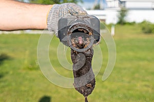 Mole in a trap in the hands of a gardener against the backdrop of a lawn