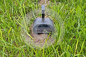 Mole trap set on the lawn