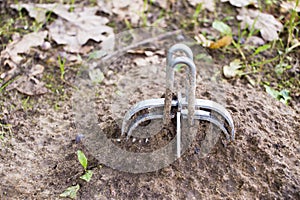 Mole trap sitting on a molehill