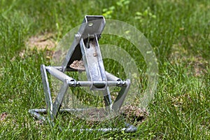 Mole trap sprung photo