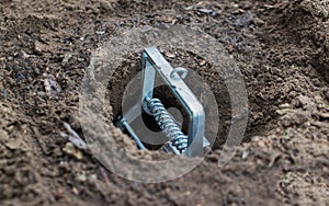 Mole trap is a trap for catching a mole in a hole in the ground. Harm from a mole in a garden plot, close-up