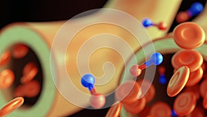 the molecular and cellular dynamics of vasodilation and nitric oxide molecules