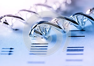 Molecular, DNA and atom model in science research lab