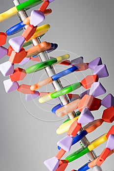 Molecular, DNA and atom model in science research lab