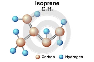 Molecular formula of isoprene isolated