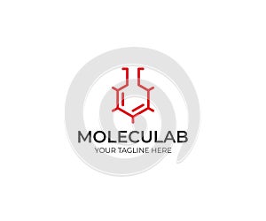 Molecular Lab Logo Template. Skeletal Molecular Structure