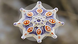 The molecular mechanics of packing and the compact structure of viral genomes are made visible by dna packaging inside a photo