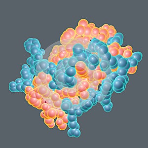 Molecular mode of leptin