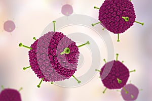 Molecular model of Adenovirus photo