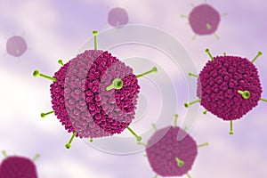 Molecular model of Adenovirus photo