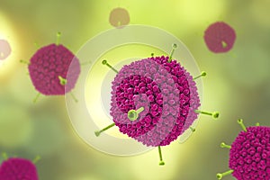 Molecular model of Adenovirus photo