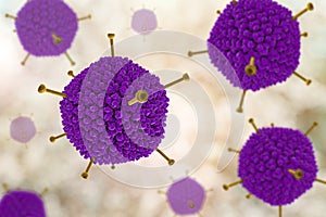 Molecular model of Adenovirus photo