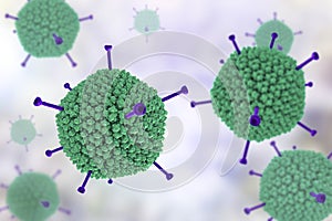 Molecular model of Adenovirus photo