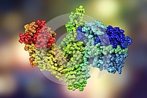 Molecular model of botulinum neurotoxin photo