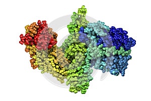 Molecular model of botulinum neurotoxin photo